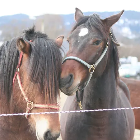 Vertshuset Fannarheimr - Bed &breakfast Pensionat