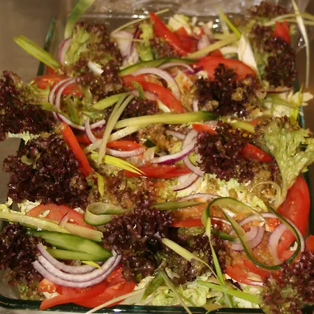 Vertshuset Fannarheimr - Bed &breakfast Pensionat Fannrem