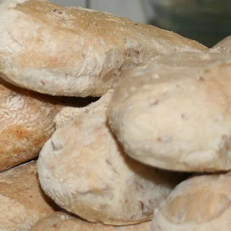 Vertshuset Fannarheimr - Bed &breakfast Fannrem